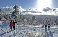 Winterurlaub in Regen Bayerischer Wald